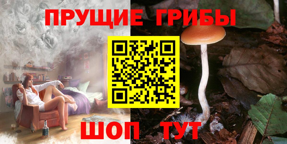 Псилоцибиновые грибы Psilocybe  Вход с VPN  Тулун 