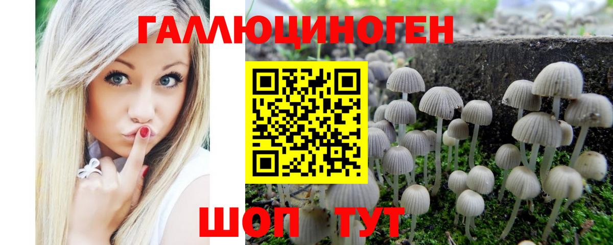 Галлюциногенные грибы Psilocybine cubensis Тулун